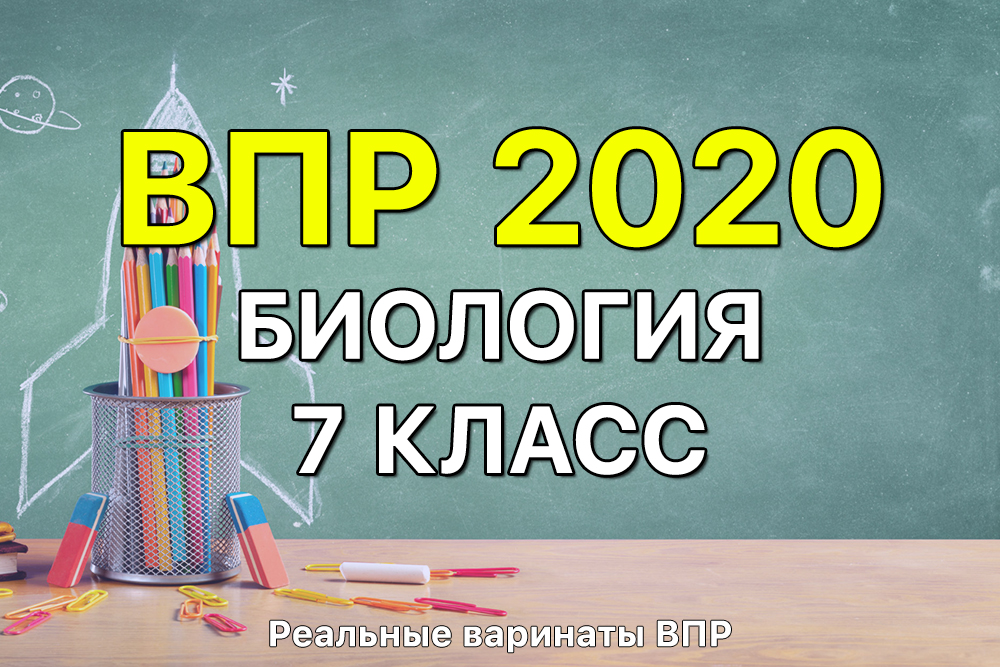 Впр 2020 работы