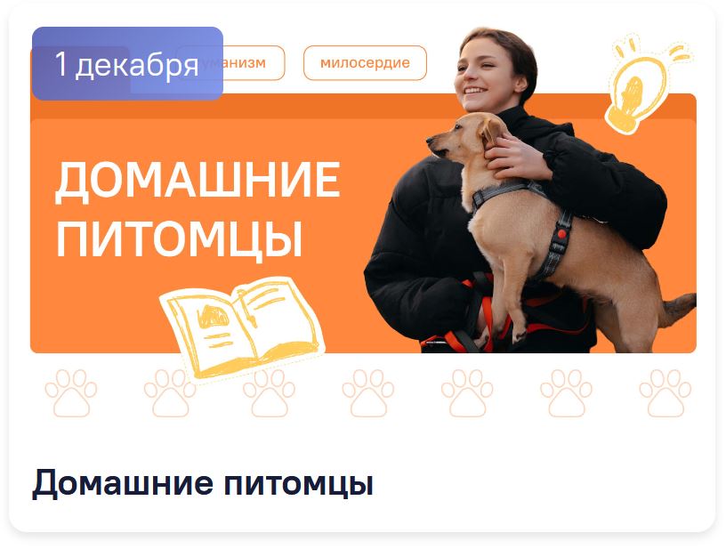 Разговоры о важном 10-11 класс. Классный час на 1 декабря. Домашние питомцы